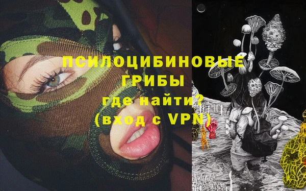 альфа пвп Бородино