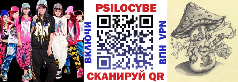 Псилоцибиновые грибы Psilocybe  Клинцы 